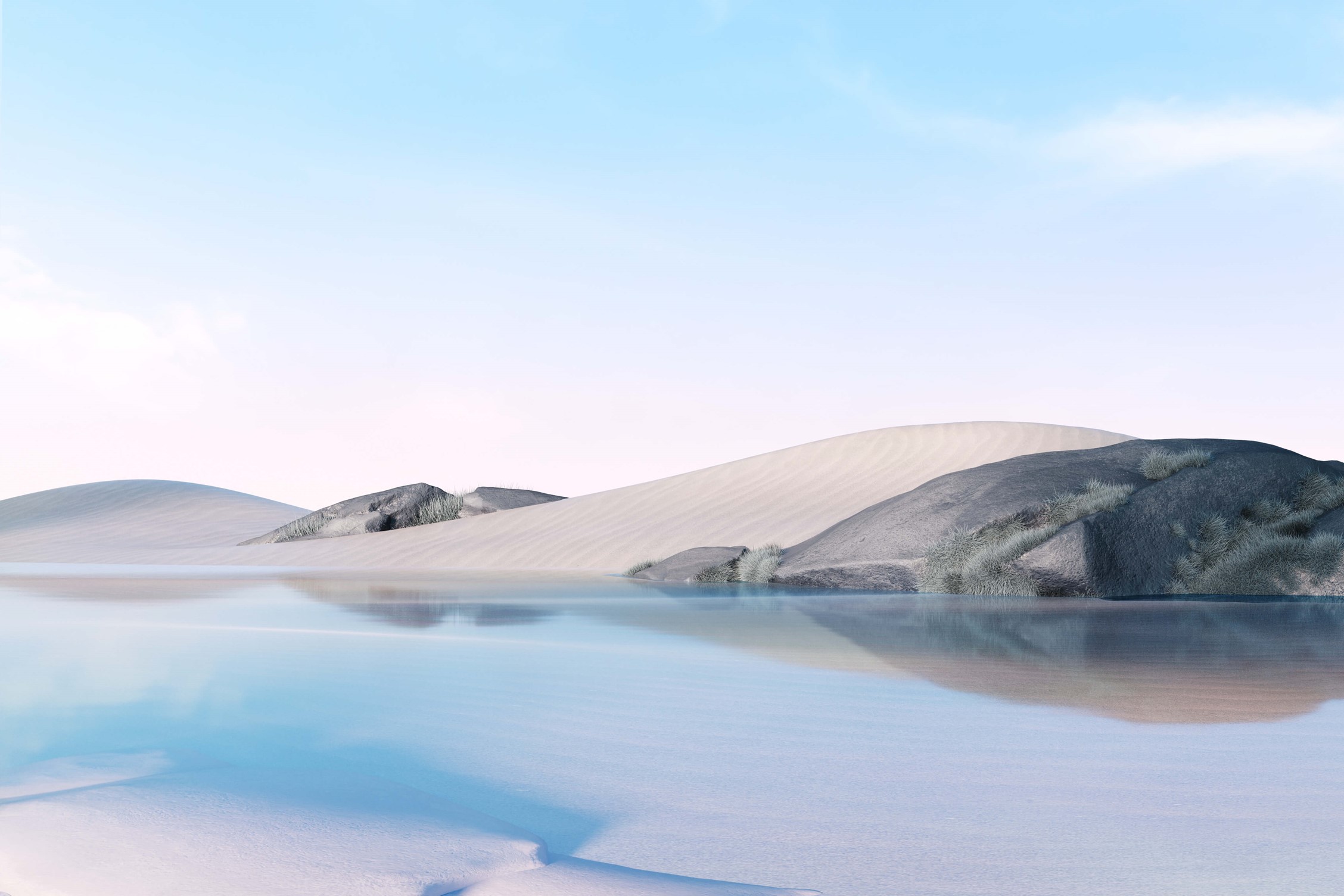 Project Picture